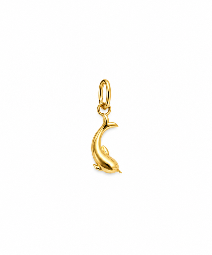 Dolfin-e Tala Delfin-Anhänger aus 18k Gelbgold mit geschwungener Form auf weissem Hintergrund