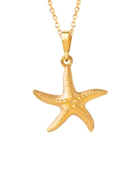 Goldener Seesternanhänger – an feiner Halskette - Nahaufnahme