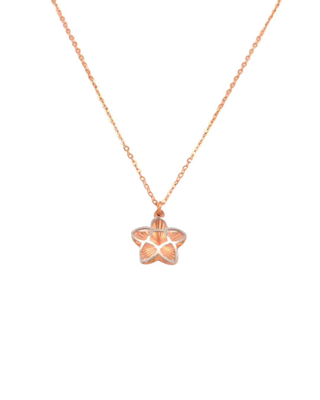 Detailaufnahme eines Sternanhängers aus Roségold mit Weissgold-Kontur an feiner Kette