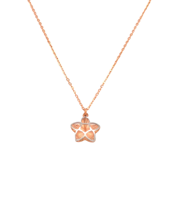 Detailaufnahme eines Sternanhängers aus Roségold mit Weissgold-Kontur an feiner Kette