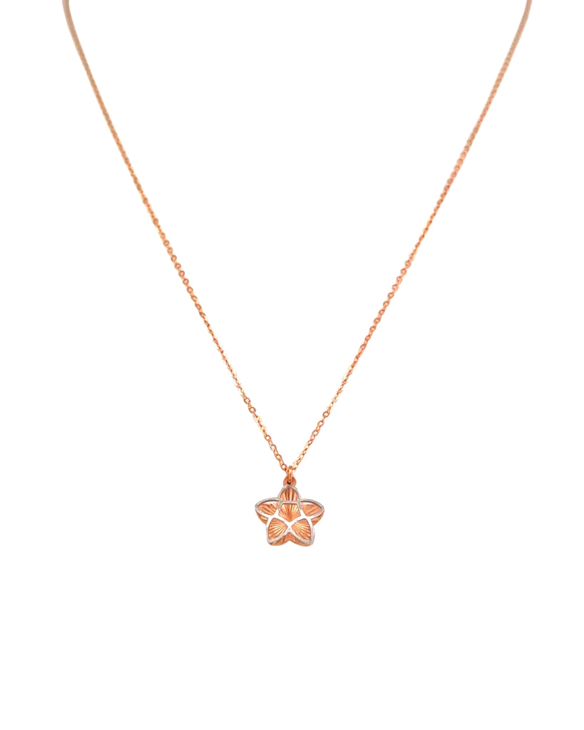 Feine Halskette aus 18k Roségold und Weissgold mit Sternanhänger, Produktbild, freigestellt auf hellem Hintergrund