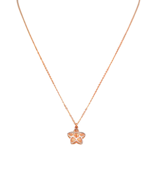 Feine Halskette aus 18k Roségold und Weissgold mit Sternanhänger, Produktbild, freigestellt auf hellem Hintergrund