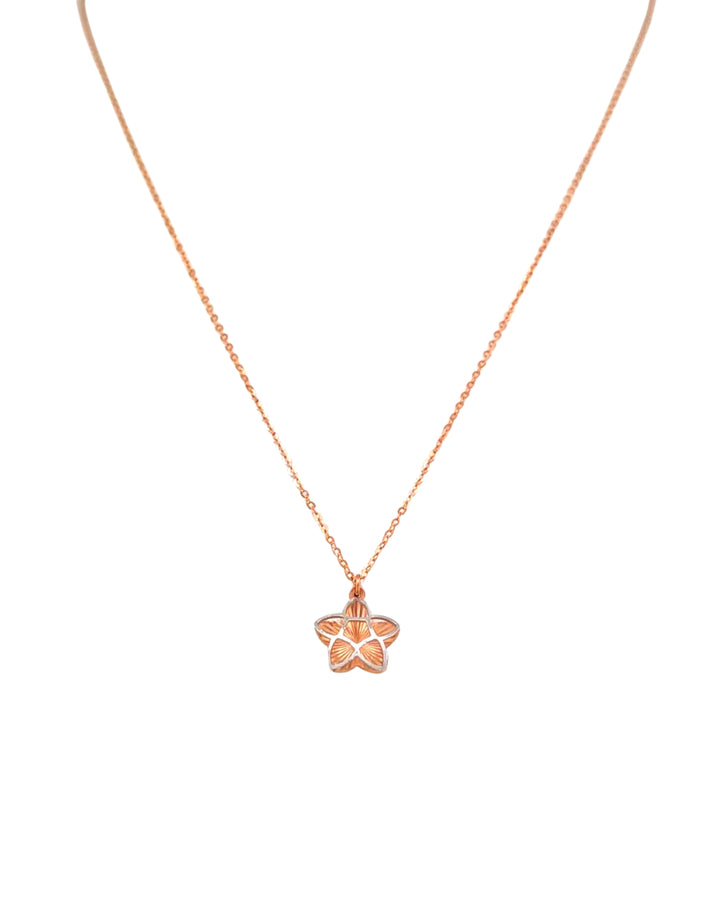 Feine Halskette aus 18k Roségold und Weissgold mit Sternanhänger, Produktbild, freigestellt auf hellem Hintergrund