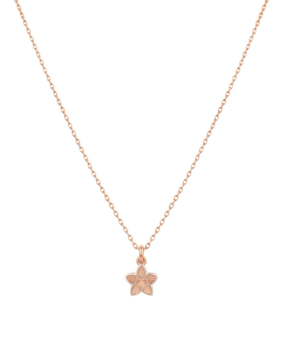 Feine Halskette aus 18k Roségold und Weissgold mit Sternanhänger, Produktbild, freigestellt auf hellem Hintergrund