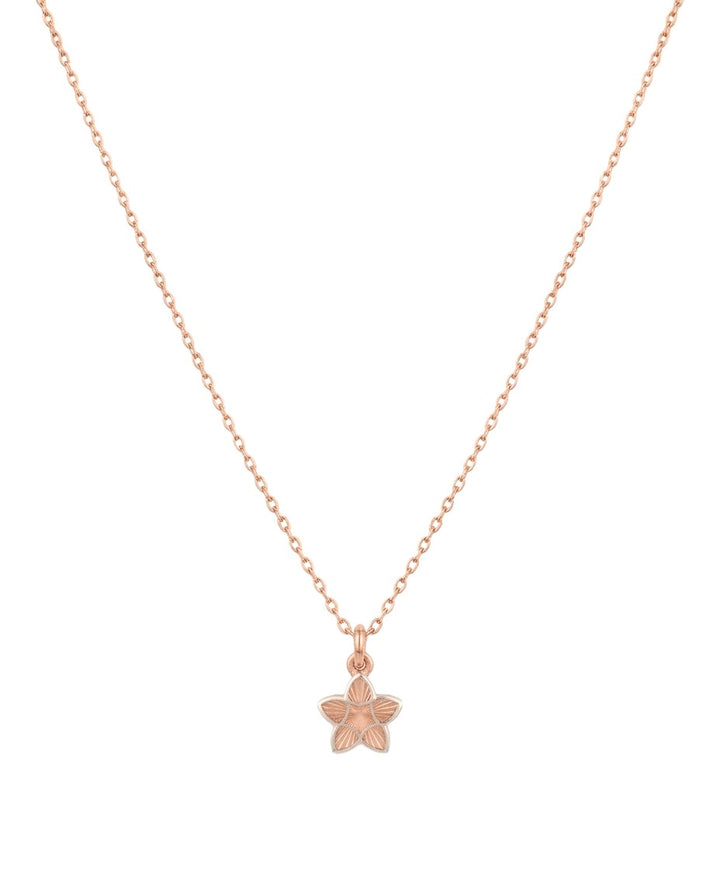 Feine Halskette aus 18k Roségold und Weissgold mit Sternanhänger, Produktbild, freigestellt auf hellem Hintergrund