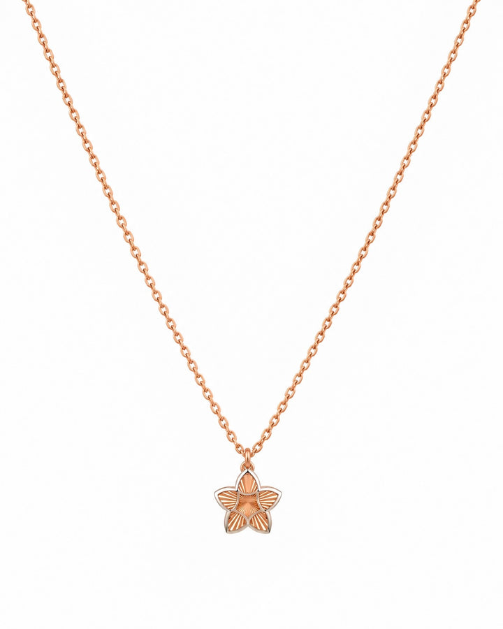 Feine Halskette aus 18k Roségold und Weissgold mit Sternanhänger, Produktbild, freigestellt auf hellem Hintergrund