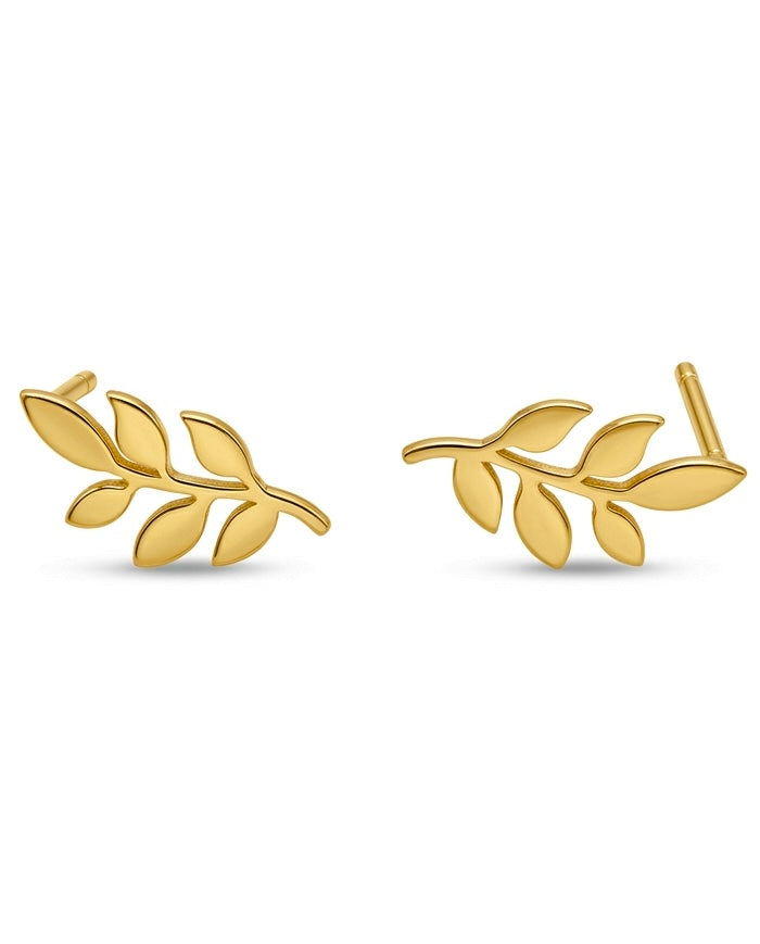 Filigrane Ohrstecker aus 18 Karat Gelbgold in Form eines eleganten Olivenzweigs mit sechs fein gearbeiteten Blättern. Die mattierte Oberfläche und das naturinspirierte Design verleihen den Goldohrringen eine zeitlose, feminine Ausstrahlung. Handgefertigter 18k Goldschmuck von Ziba Gold – ideal für Alltag und besondere Anlässe.