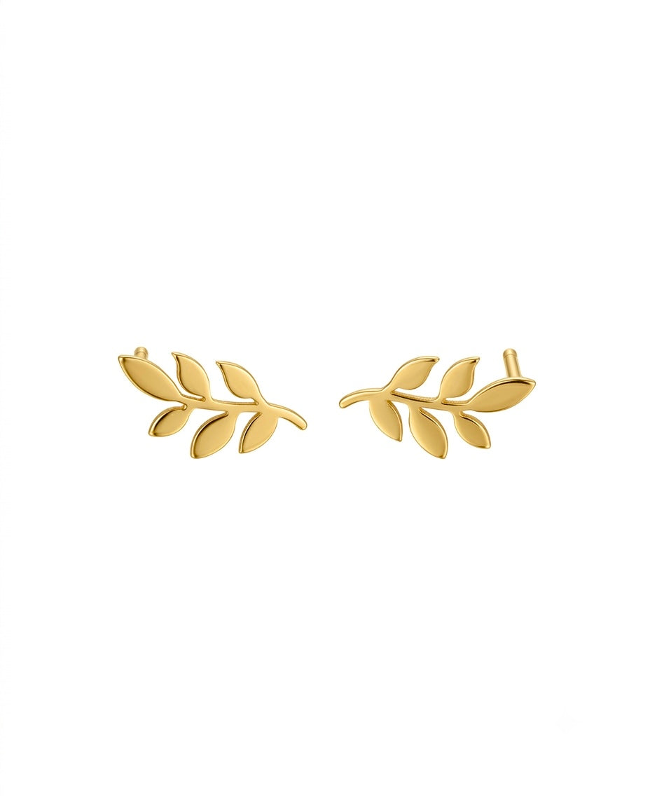 Elegante Ohrstecker aus 18 Karat Gelbgold in Form eines filigranen Olivenzweigs mit sechs fein ausgearbeiteten Blättern. Die zeitlose, von der Natur inspirierte Gestaltung verleiht den Goldohrringen eine moderne und zugleich feminine Ausstrahlung – ideal für Alltag und besondere Anlässe. Handgefertigter Goldschmuck von Ziba Gold.