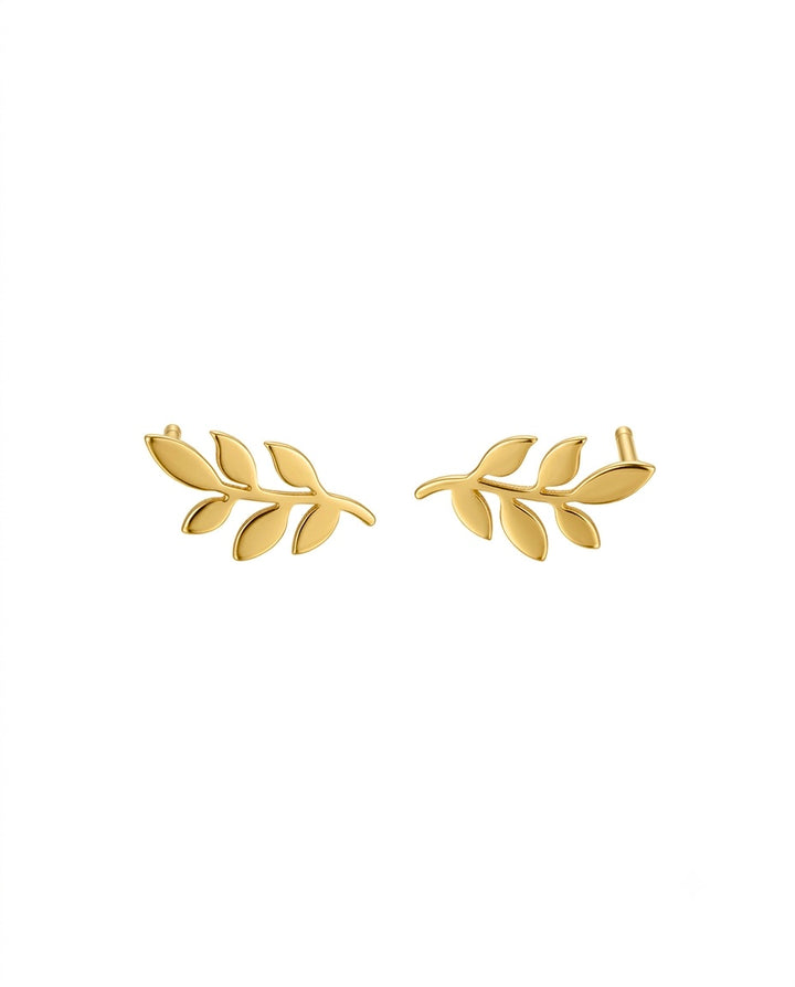 Elegante Ohrstecker aus 18 Karat Gelbgold in Form eines filigranen Olivenzweigs mit sechs fein ausgearbeiteten Blättern. Die zeitlose, von der Natur inspirierte Gestaltung verleiht den Goldohrringen eine moderne und zugleich feminine Ausstrahlung – ideal für Alltag und besondere Anlässe. Handgefertigter Goldschmuck von Ziba Gold.