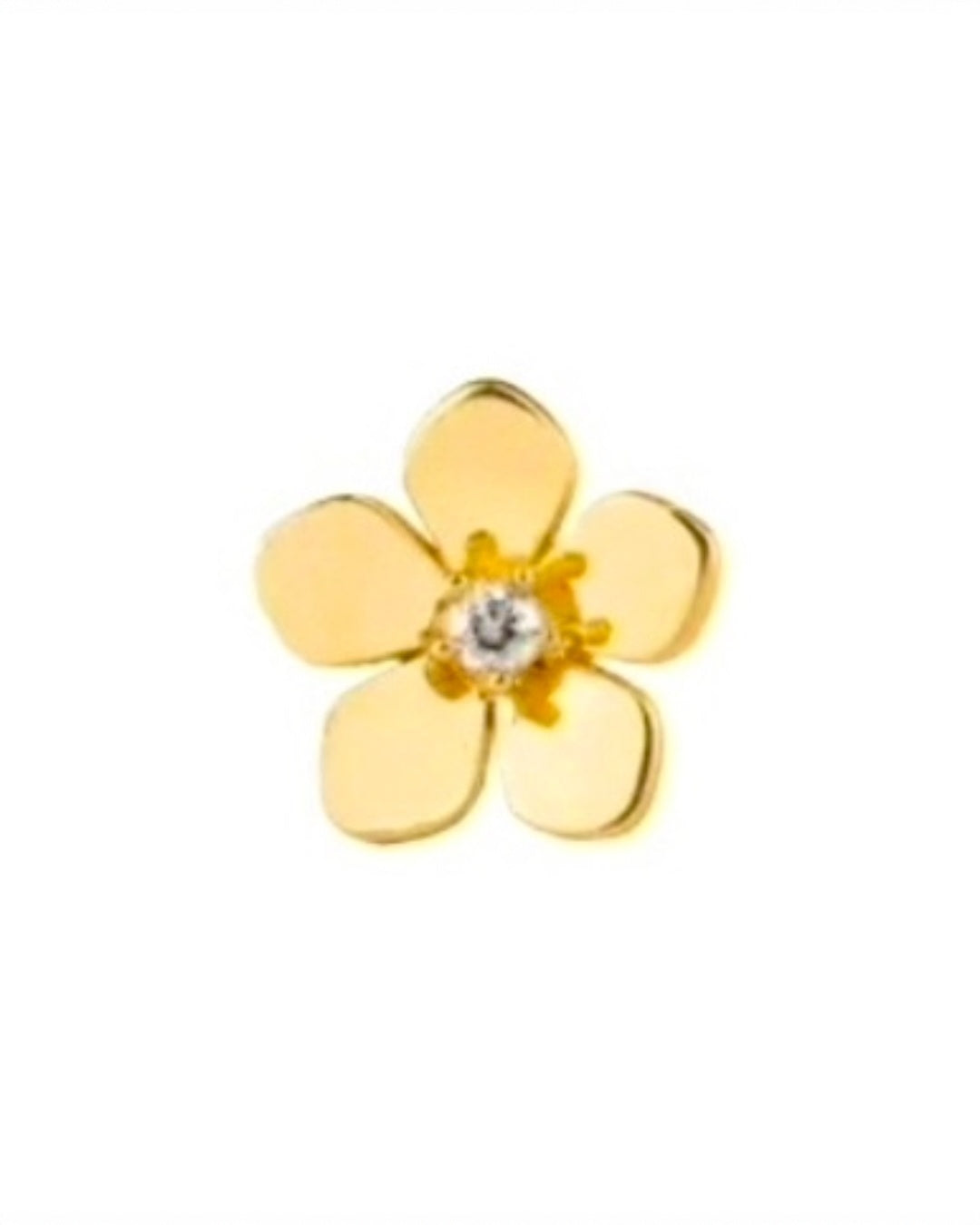 Ohrstecker Gelbgold 18k – Gol-e Zarif: Nahaufnahme der zarten Goldblüte mit klarem Zirkonia Stein.