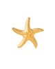 Ohrstecker aus 18k Gelbgold in Seesternform – freigestellte Nahaufnahme