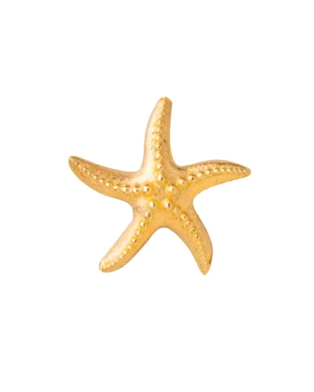 Ohrstecker aus 18k Gelbgold in Seesternform – freigestellte Nahaufnahme