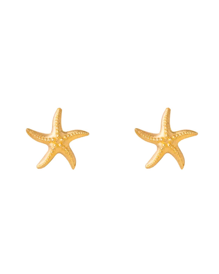 Paar Seestern-Ohrstecker aus 18k Gold – frontal fotografiert